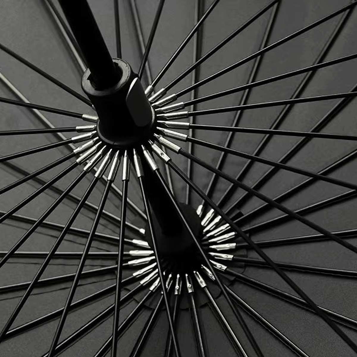 Sorélane Contour : structure rayonnante intérieure.