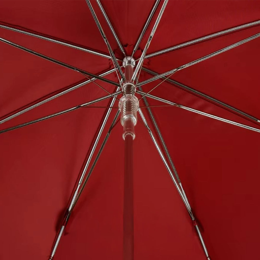 Sorélane Compagnon : structure intérieure.
