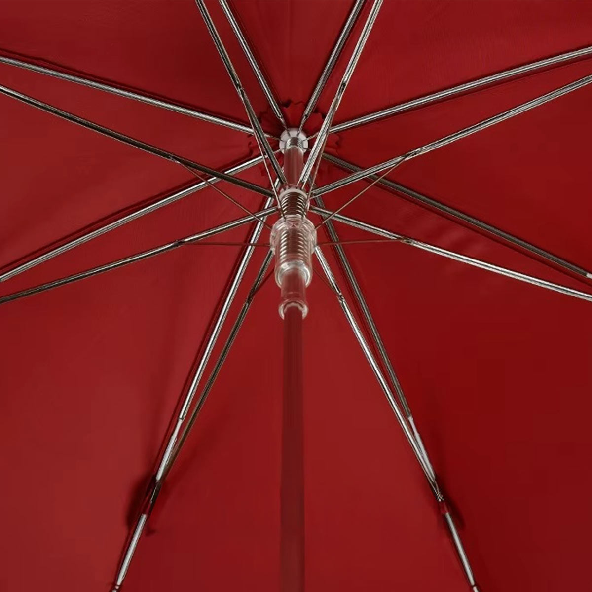 Sorélane Compagnon : structure intérieure.