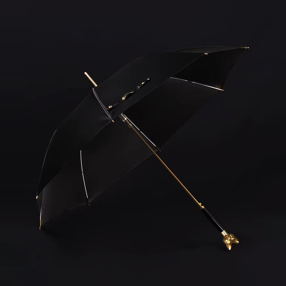 Sorélane Rusé : parapluie noir ouvert.