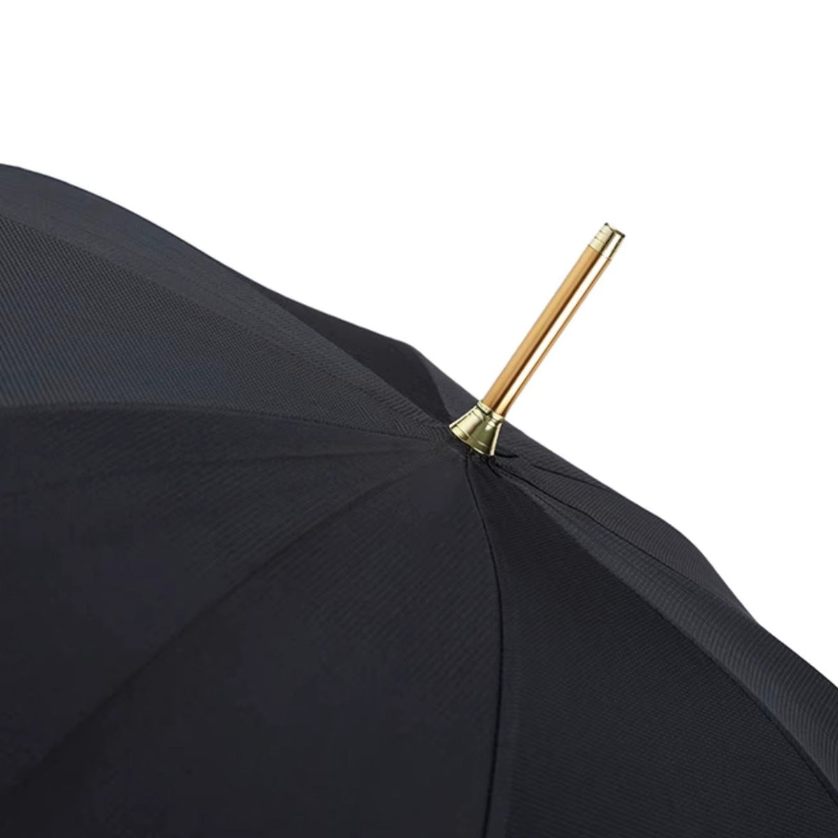Sorélane Cavalier : pointe et sommet de la toile.