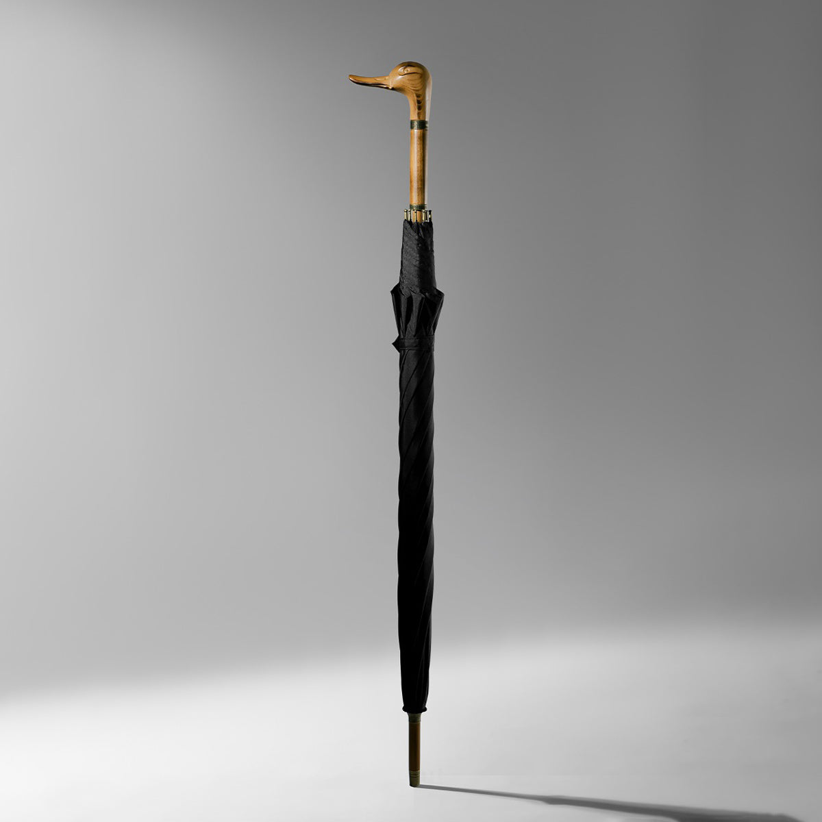 Sorélane Colvert : silhouette fermée.