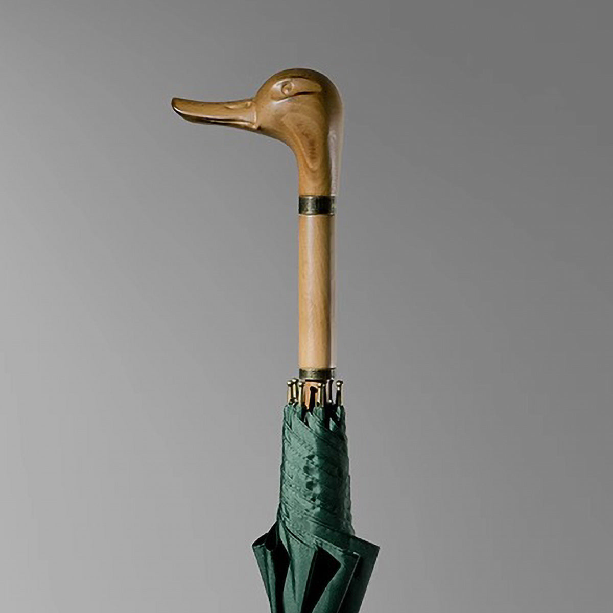 Sorélane Colvert : version Vert du parapluie.