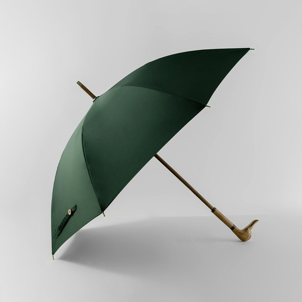 Sorélane Colvert : version verte ouverte.