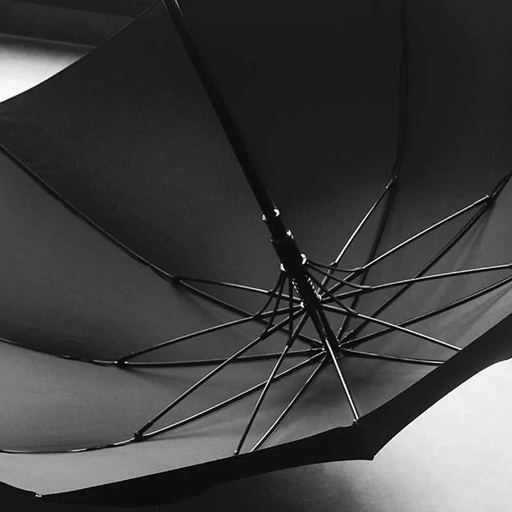 Sorélane Sobre : structure intérieure.
