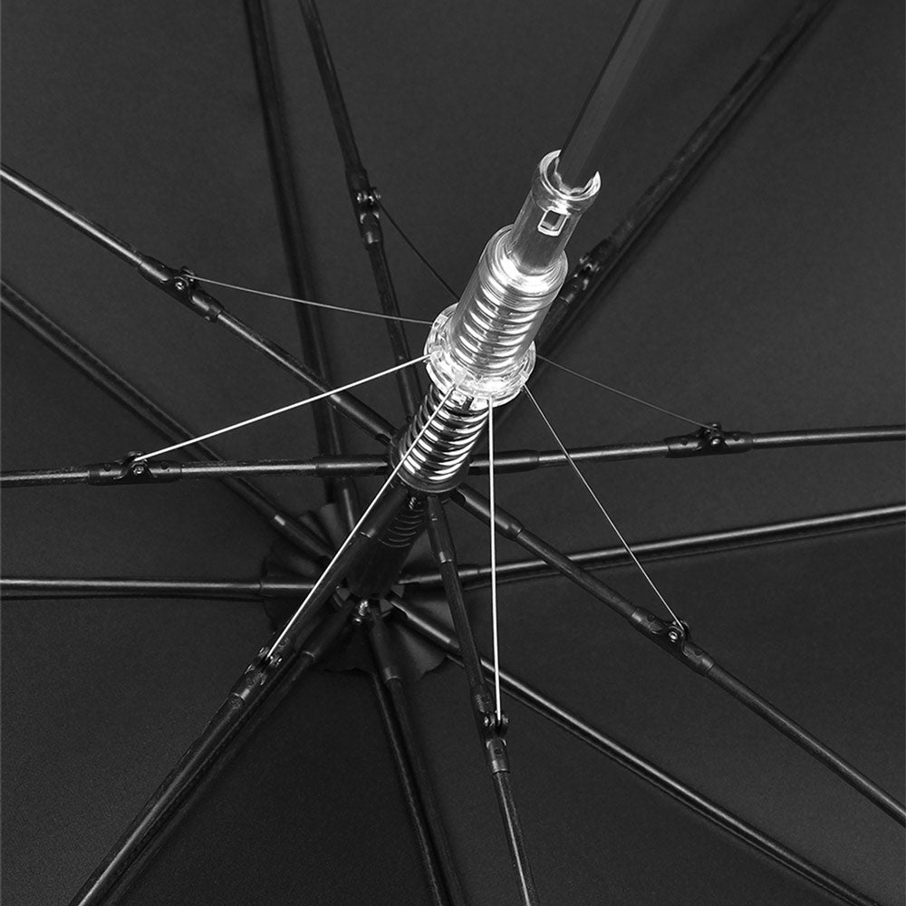 Sorélane Crinière : structure intérieure.