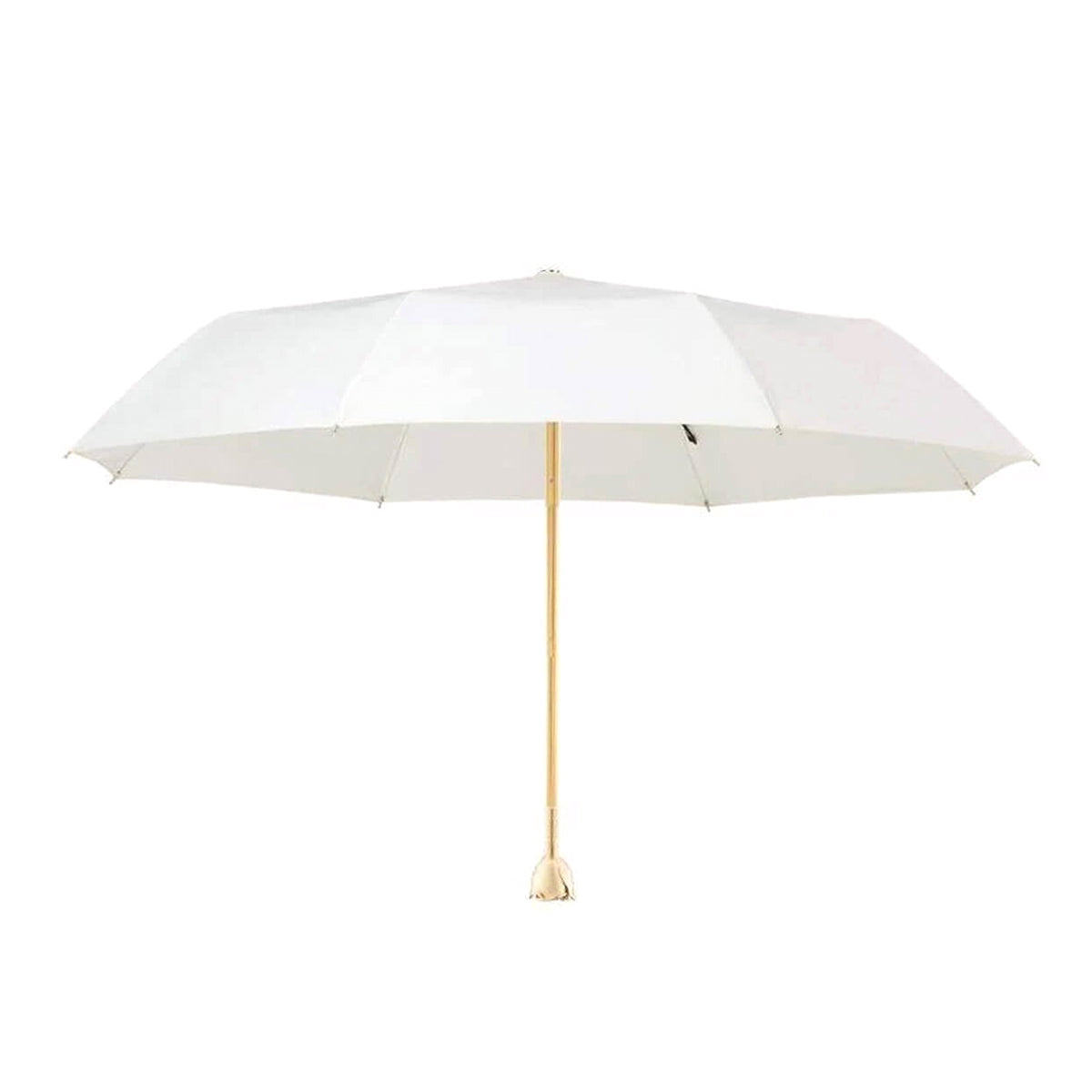 Sorélane Rosée : parapluie blanc ouvert. Image