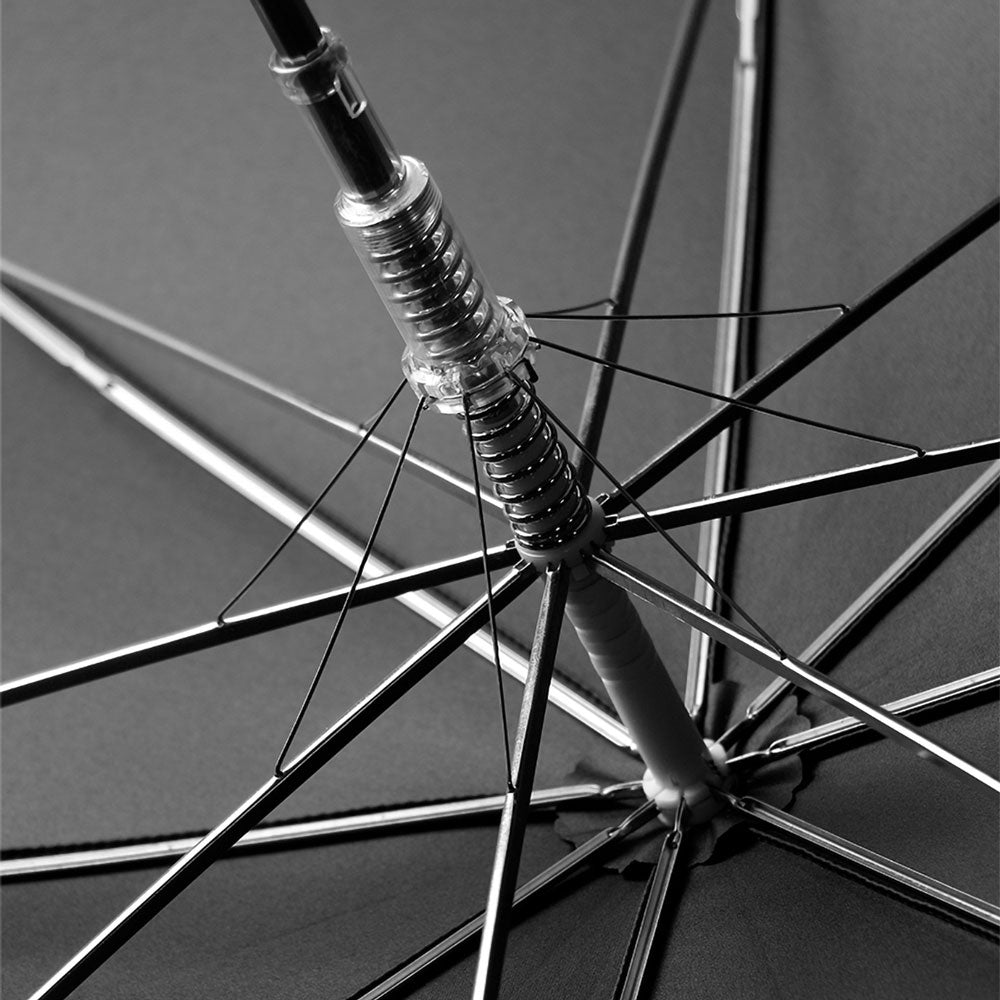 Sorélane Vigilance : structure intérieure.